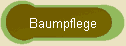 Baumpflege