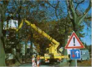 Baumlaubusch2.jpg (8927 Byte)