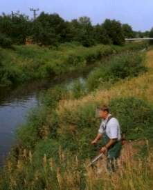 papasenseweb.jpg (9352 Byte)