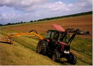 Russeelbeschr�g.jpg (10306 Byte)