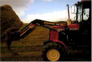 Russeheu15.jpg (6362 Byte)